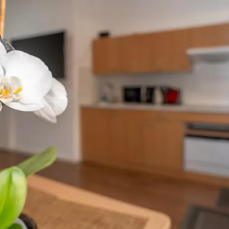 Cosy Nest - Apartment By Comfort Housing Falkensee Exterior foto